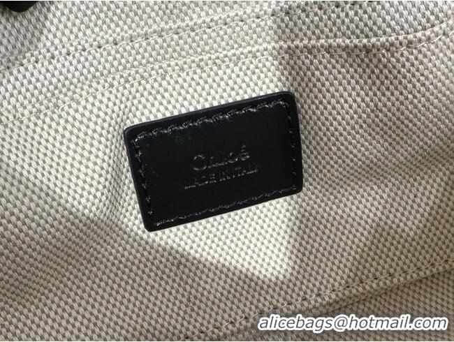 Famous Brand Chloe Small Camera Bag in Shiny Leather W0653 Black 2024