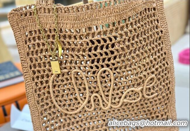 Top Grade Chloe Summer Banana tote bag in raffia straw 1665 Beige 2025