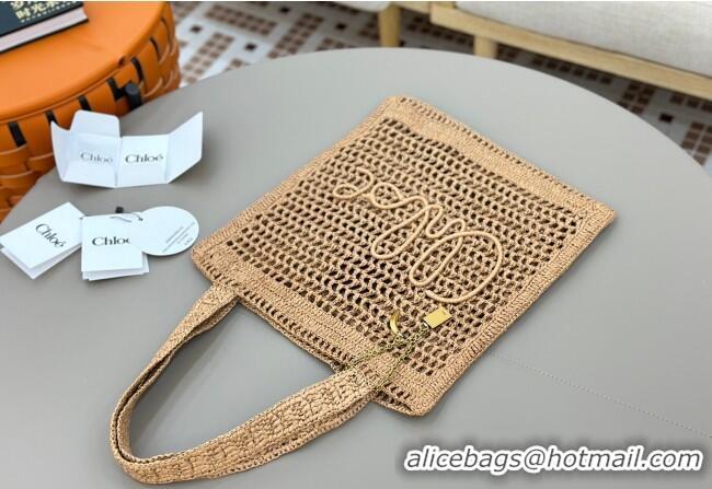 Top Grade Chloe Summer Banana tote bag in raffia straw 1665 Beige 2025