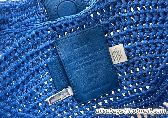 Buy Cheap Chloe Summer Banana hobo bag in raffia straw 1668 Blue 2025