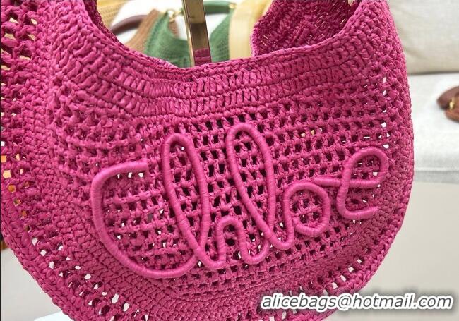Top Design Chloe Summer Banana hobo bag in raffia straw 1668 Pink 2025