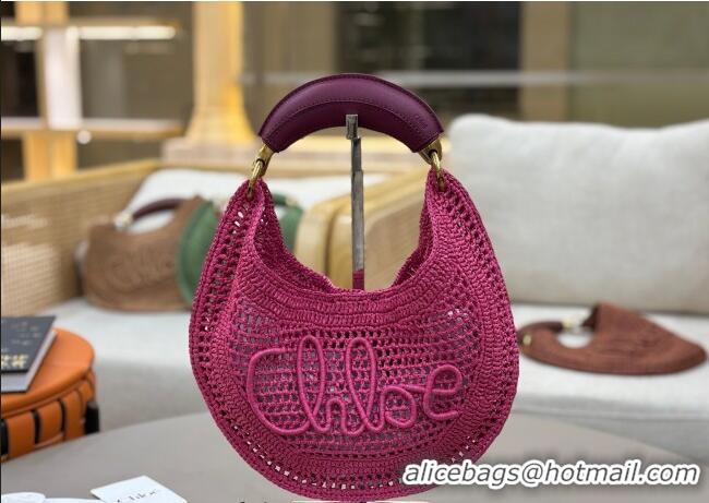 Top Design Chloe Summer Banana hobo bag in raffia straw 1668 Pink 2025