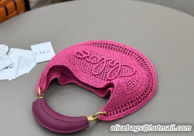 Top Design Chloe Summer Banana hobo bag in raffia straw 1668 Pink 2025