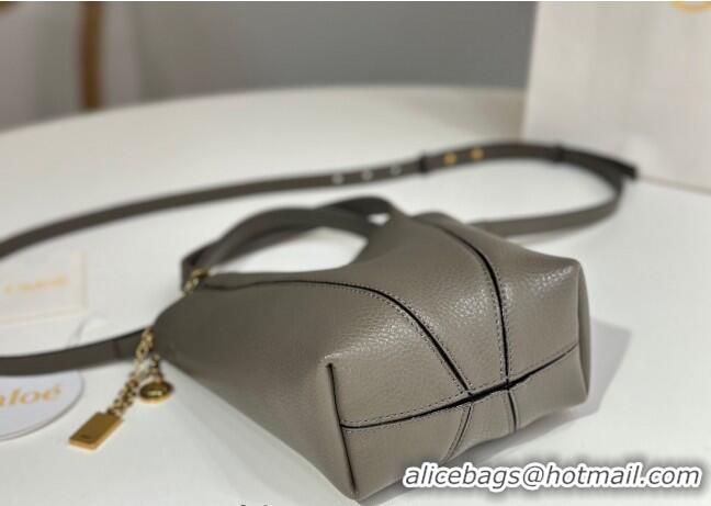 Promotional Grade Chloe Small Spin Tote Bag in Grained Leather 1120 Grey 2025