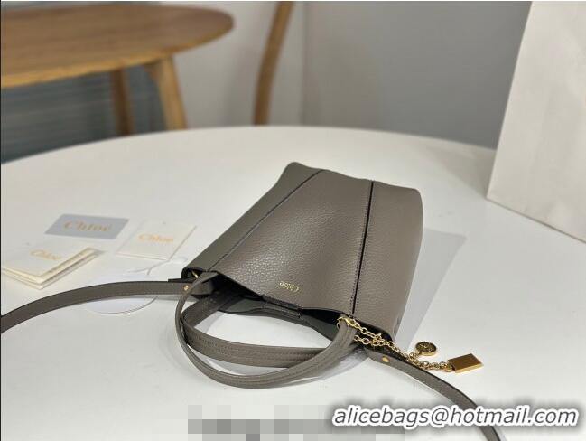 Promotional Grade Chloe Small Spin Tote Bag in Grained Leather 1120 Grey 2025