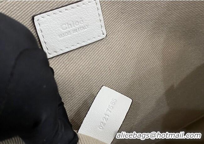 Top Quality Chloe Medium Woody Tote Bag in Linen Canvas and Calfskin Leather 1120 Light Green 2025