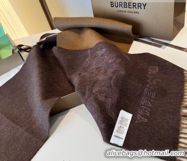 Luxury Cheap Burberry Cashmere Long Scarf 30x200cm BR010601 Brown 2026