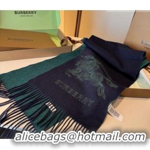 Luxury Discount Burberry Cashmere Long Scarf 30x200cm BR010601 Green 2026