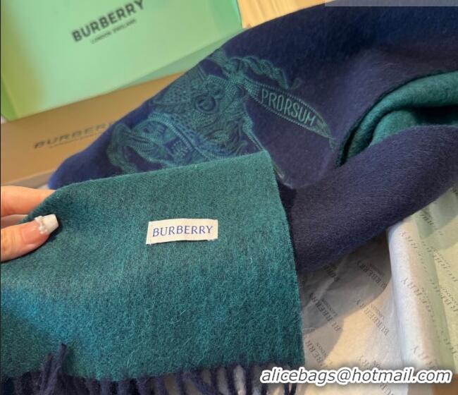 Luxury Discount Burberry Cashmere Long Scarf 30x200cm BR010601 Green 2026