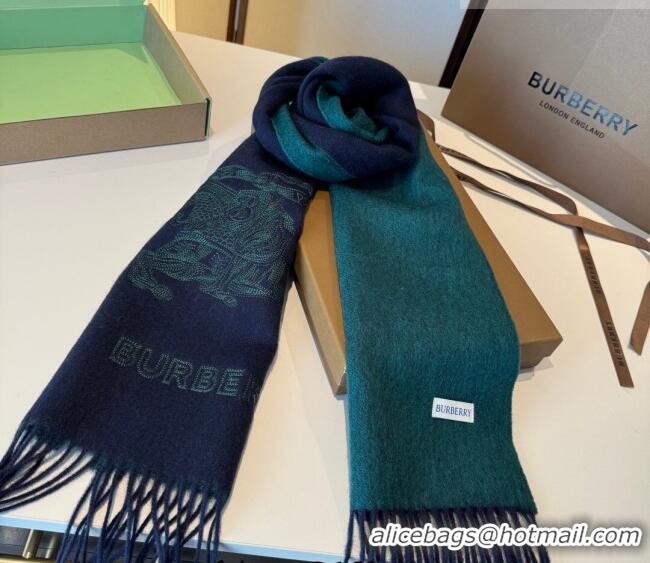 Luxury Discount Burberry Cashmere Long Scarf 30x200cm BR010601 Green 2026