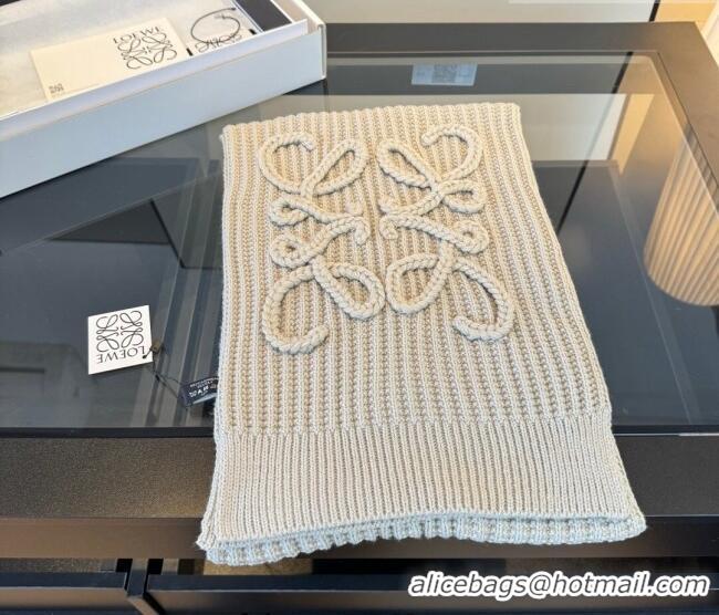 Reasonable Price Loewe Cashmere Long Scarf 35x180cm LW010603 Grey 2026