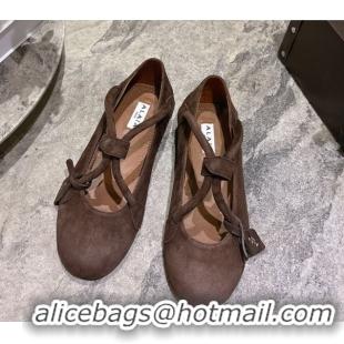 Duplicate Alaia Le Teckel Ballet Flats in Suede with Cross Strap 2026 AL102907 Brown