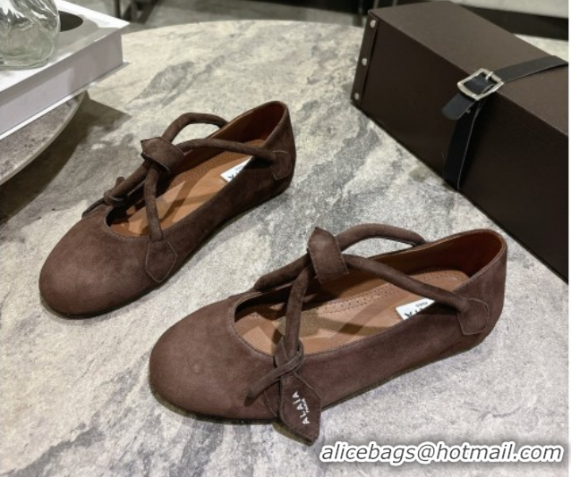 Duplicate Alaia Le Teckel Ballet Flats in Suede with Cross Strap 2026 AL102907 Brown