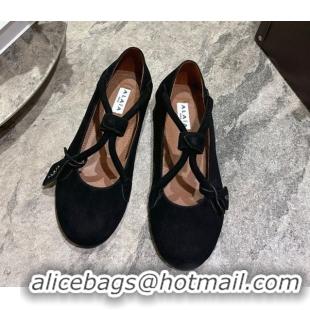 Most Popular Alaia Le Teckel Ballet Flats in Suede with Cross Strap 2026 AL102907 Black