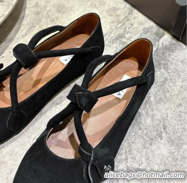 Most Popular Alaia Le Teckel Ballet Flats in Suede with Cross Strap 2026 AL102907 Black
