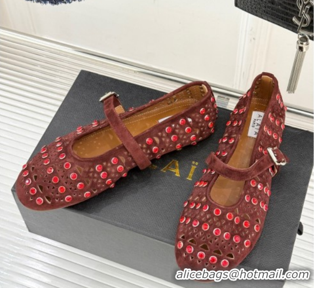 Good Quality Alaia Ballet Flats in Openwork Suede with Eyelet with Strass Dark Brown 2026 AL102910 1029146