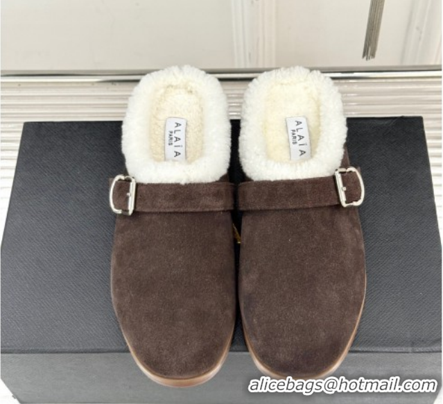 Affordable Price Alaia Suede and Wool Flat Mules with Buckle Dark Brown 2026 AL102912 1029153