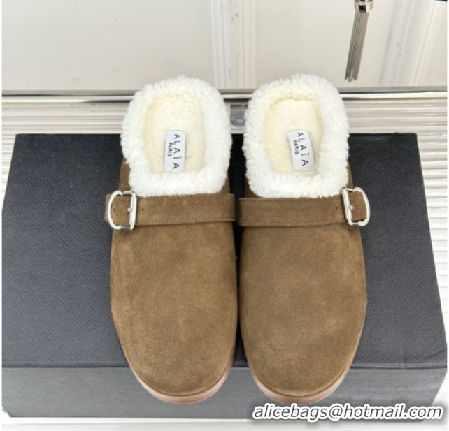 Perfect Alaia Suede and Wool Flat Mules with Buckle Taupe AL102912 1029157