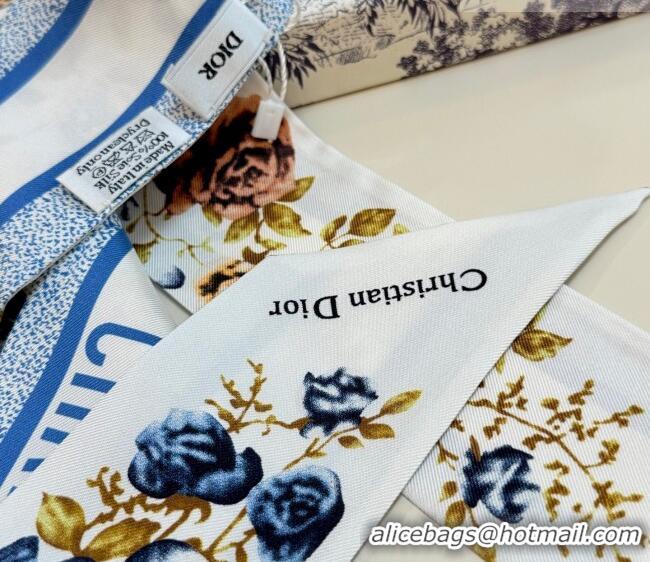 Top Quality Dior D-Millefiori Bandeau Silk Scarf 6x100cm DR010602 Blue 2026