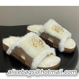 Classic Practical Loewe Flat Slides Sandal in Suede and Wool 2026 LW103003 Beige