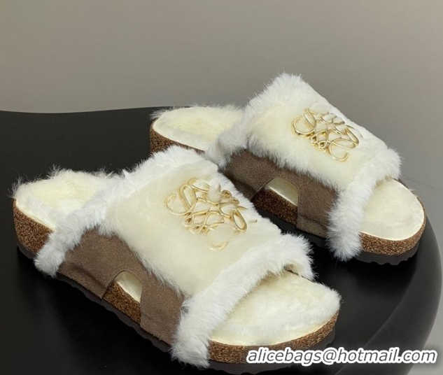 Classic Practical Loewe Flat Slides Sandal in Suede and Wool 2026 LW103003 Beige