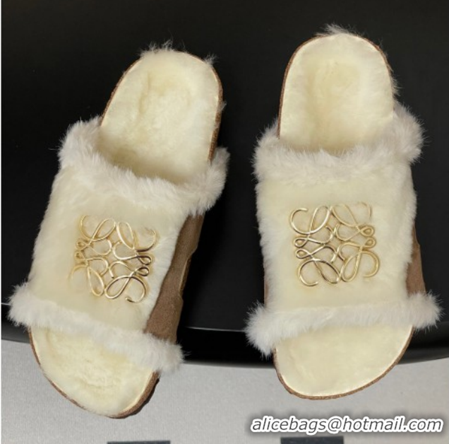 Classic Practical Loewe Flat Slides Sandal in Suede and Wool 2026 LW103003 Beige