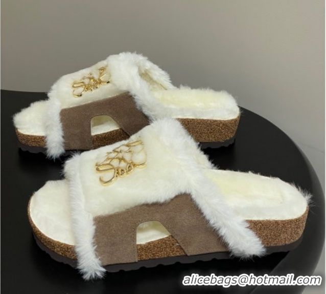 Classic Practical Loewe Flat Slides Sandal in Suede and Wool 2026 LW103003 Beige