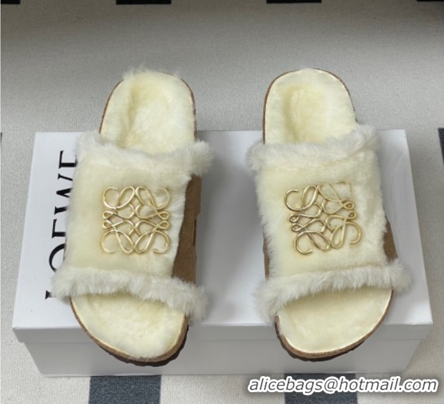 Classic Practical Loewe Flat Slides Sandal in Suede and Wool 2026 LW103003 Beige