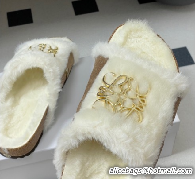 Classic Practical Loewe Flat Slides Sandal in Suede and Wool 2026 LW103003 Beige