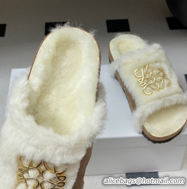 Classic Practical Loewe Flat Slides Sandal in Suede and Wool 2026 LW103003 Beige