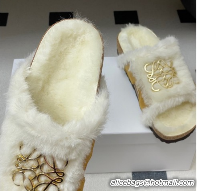 Buy Duplicate Loewe Flat Slides Sandal in Suede and Wool 2026 LW103003 Brown