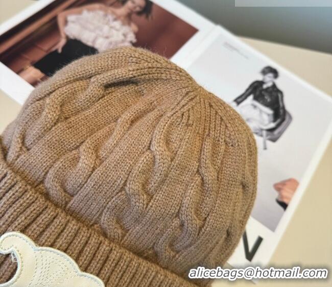 Inexpensive Celine Knit Hat CE010516 Brown 2026