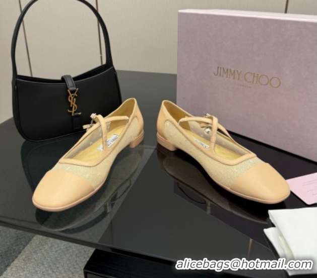 Perfect Jimmy Choo Mesh and Leather Mary Janes Ballerinas Flat with Pearl Bow Beige JC121001 1210124