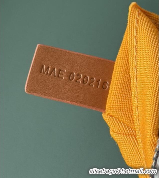 Top Grade Goyard Bowling 25 Toiletry Bag With Strap 020216 Black And Brown 2025