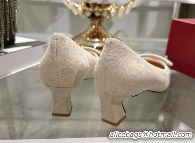 Low Cost Roger Vivier Trompette Pumps 4.5cm in Suede and Buckle Nude RV121102 1211112 2026