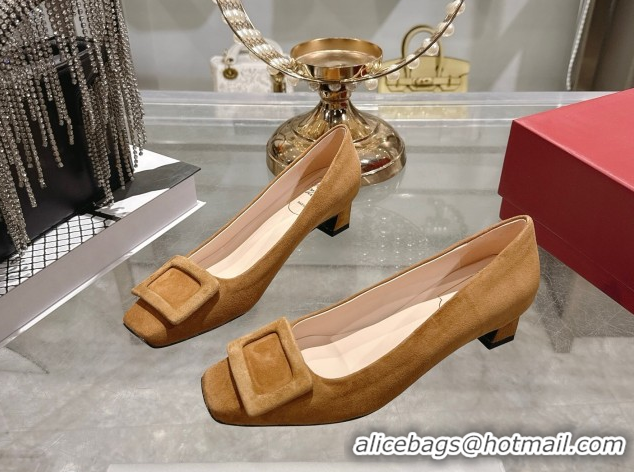 Top Design Roger Vivier Trompette Pumps 4.5cm in Suede and Buckle Brown RV121102 1211114 2026