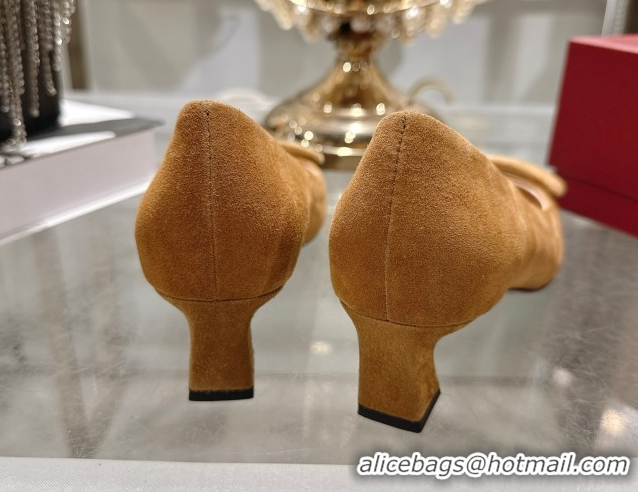 Top Design Roger Vivier Trompette Pumps 4.5cm in Suede and Buckle Brown RV121102 1211114 2026