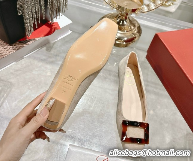 Cheap Roger Vivier Belle Vivier Ballerinas Flat in Suede and Tortoiseshell Printed Buckle Grey RV121105 1211133 2026