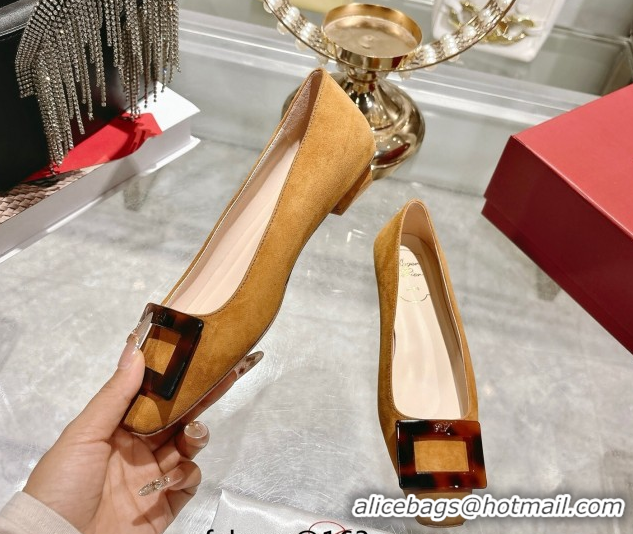 Good Looking Roger Vivier Belle Vivier Ballerinas Flat in Suede and Tortoiseshell Printed Buckle Beige Yellow RV121105 1