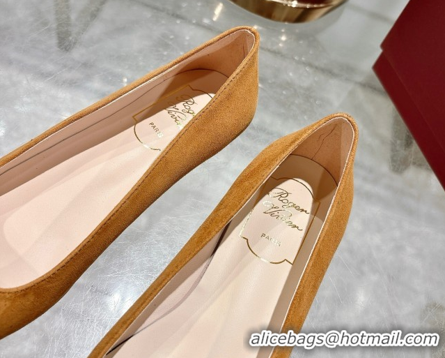 Good Looking Roger Vivier Belle Vivier Ballerinas Flat in Suede and Tortoiseshell Printed Buckle Beige Yellow RV121105 1