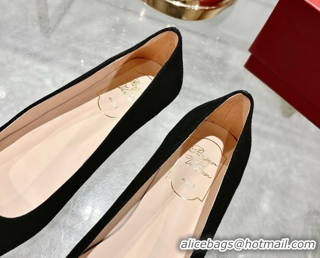 Most Popular Roger Vivier Belle Vivier Ballerinas Flat in Suede and Tortoiseshell Printed Buckle Black RV121105 1211135