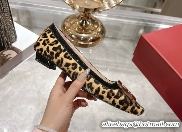 Durable Roger Vivier Belle Vivier Ballerinas Flat in Leopard Print Pony Hair Beige/Black RV121106 1211139 2026