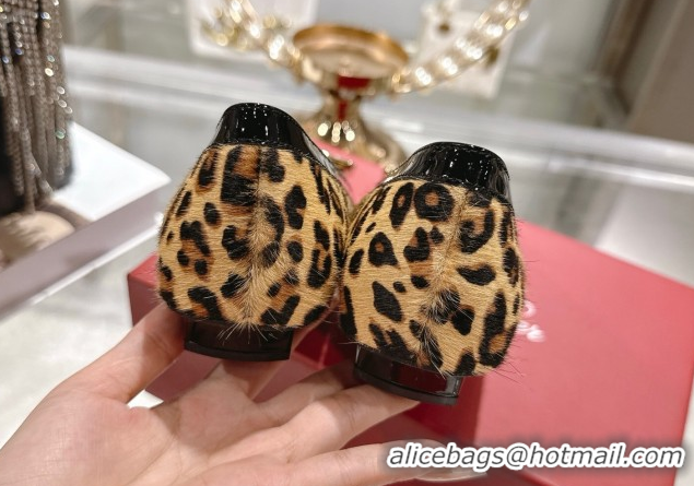 Durable Roger Vivier Belle Vivier Ballerinas Flat in Leopard Print Pony Hair Beige/Black RV121106 1211139 2026