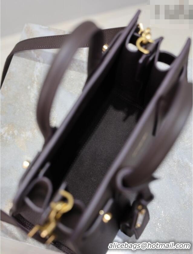 Famous Brand Saint Laurent Sac De Jour Nano Tote bag in Grained Calfskin 717440 Coffee 2026