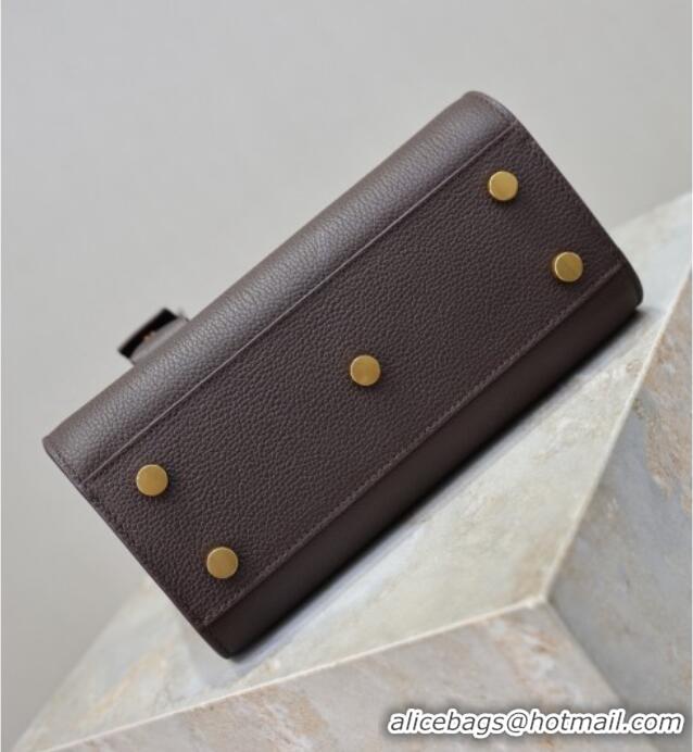 Famous Brand Saint Laurent Sac De Jour Nano Tote bag in Grained Calfskin 717440 Coffee 2026