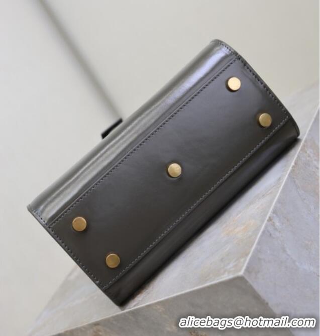 Reasonable Price Saint Laurent Sac De Jour Nano Tote bag in Calfskin 717440 Grey 2026