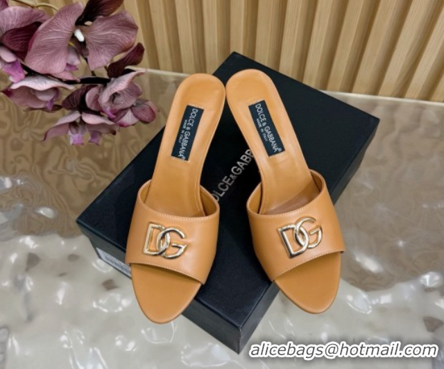 Good Quality Dolce & Gabbana Calfskin Leather Heel Slides Sandal 9cm with DG Logo DG121101 Brown 2026
