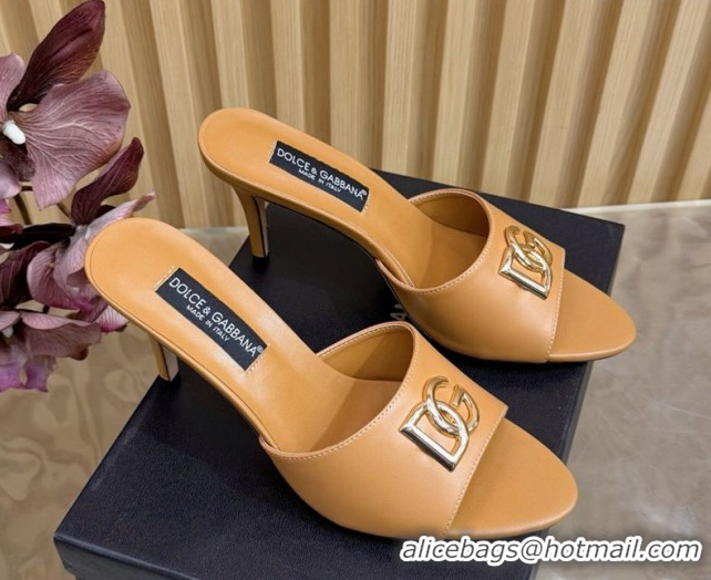 Good Quality Dolce & Gabbana Calfskin Leather Heel Slides Sandal 9cm with DG Logo DG121101 Brown 2026