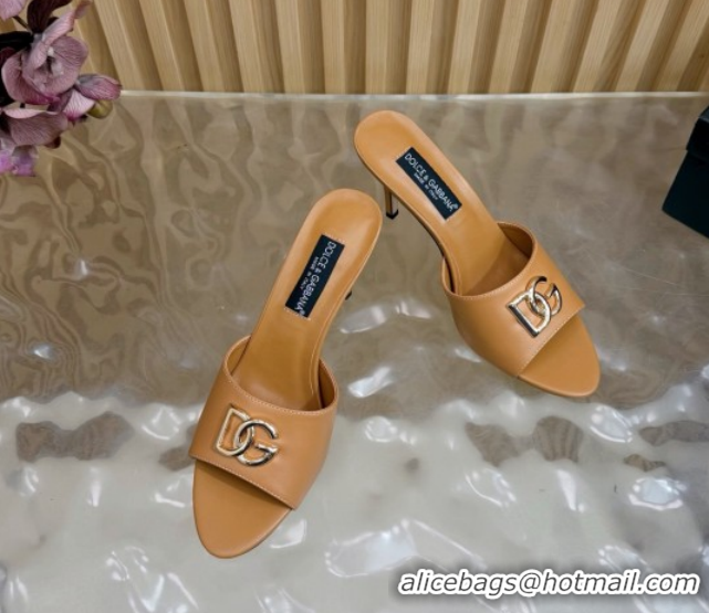 Good Quality Dolce & Gabbana Calfskin Leather Heel Slides Sandal 9cm with DG Logo DG121101 Brown 2026