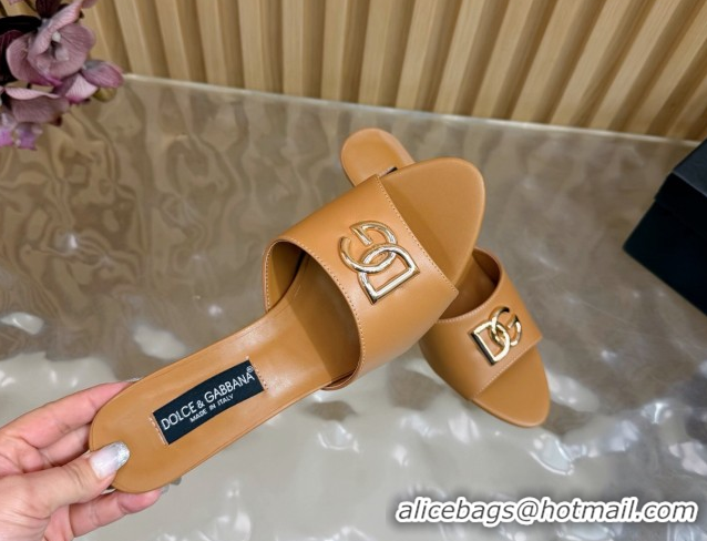 Good Quality Dolce & Gabbana Calfskin Leather Heel Slides Sandal 9cm with DG Logo DG121101 Brown 2026